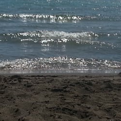El Pareo