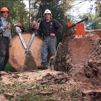 R & A Tree Service - Tree Services Near Me R & A Tree Service - Tree Services Near Me