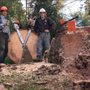 Photo of R & A Tree Service