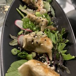 Mister Lee’s Noodles - Duck Confit Dumplings