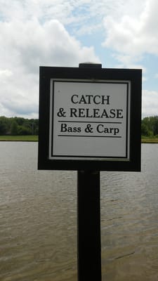 Northern Fauquier Community Park by null