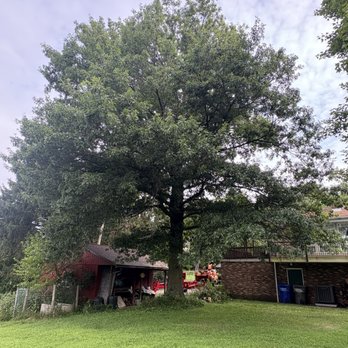 Good Orderly Direction - Tree Services Near Me - Karns City, Pennsylvania Good Orderly Direction - Tree Services Near Me - Karns City, Pennsylvania