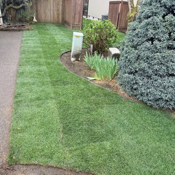 Carrillo's Landscaping - Front yard right side - Landscaping Near Me Carrillo's Landscaping - Front yard right side - Landscaping Near Me