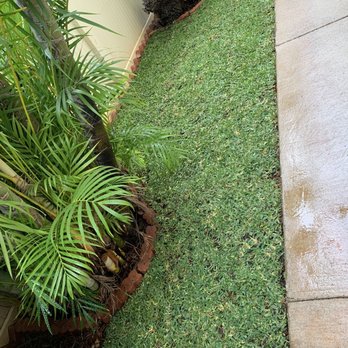 Alii Turf - After - Landscaping Near Me - Wahiawa, Hawaii