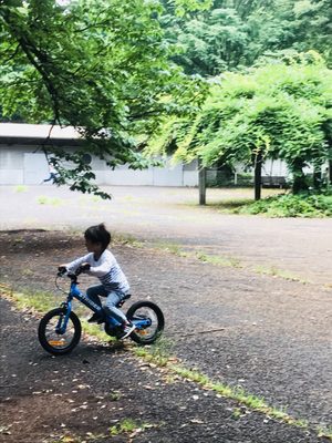 砧公園 92 Photos 15 Reviews Parks 砧公園1 1 世田谷区 東京都 Japan Phone Number 砧公園 92 Photos 15 Reviews Parks 砧公園1 1 世田谷区 東京都 Japan Phone Number