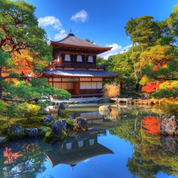 Portland Tai Chi Academy - Zen