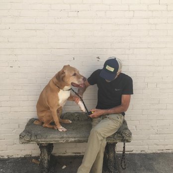 Trainer on Retainer - Pet Training Near Me