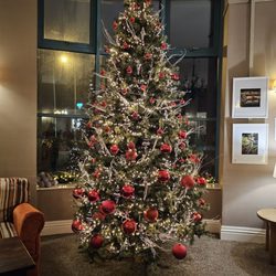 Celtic Ross Hotel Conference & Leisure Centre