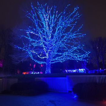 Winterlights at Newfields - Festivals Near Me - Indianapolis, Indiana Winterlights at Newfields - Festivals Near Me - Indianapolis, Indiana