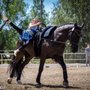 Photo of Los Angeles Equestrian Vaulting Club