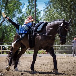 Los Angeles Equestrian Vaulting Club - Mozart memorial competition 2017