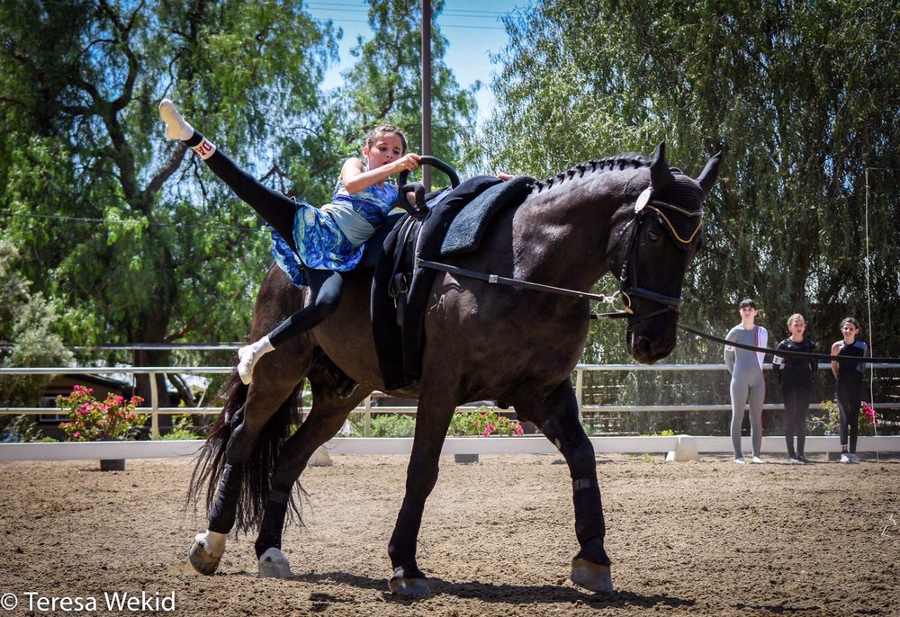 Los Angeles Equestrian Vaulting Club - equestrian in Los Angeles CA, CA