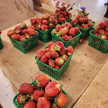 Maple Grove Farm - Strawberries - Bakeries Near Me - Mansfield, Ontario Maple Grove Farm - Strawberries - Bakeries Near Me - Mansfield, Ontario