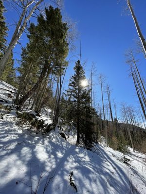 Hyde Memorial State Park by null