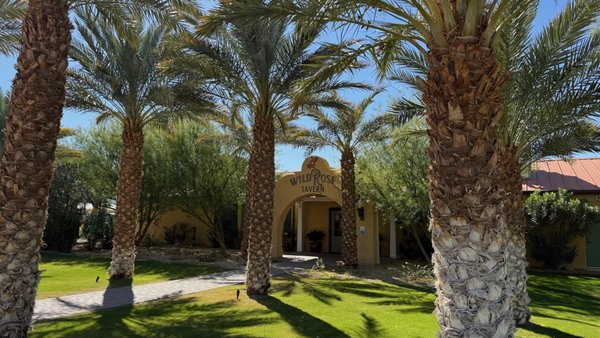 Wild Rose Tavern by null