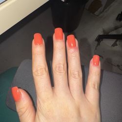 Wheatley Beauty