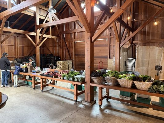 Blue House Farm Strawberry U-Pick and Farmstand by null
