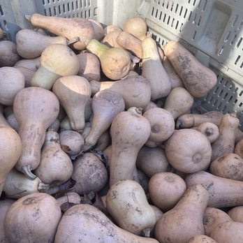 Karabin Farms - a crate full of squash and other vegetables - Fruits & Veggies Near Me - Southington, Connecticut Karabin Farms - a crate full of squash and other vegetables - Fruits & Veggies Near Me - Southington, Connecticut