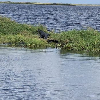 Airboat Wilderness Rides - Boat Charters Near Me - Fellsmere, Florida Airboat Wilderness Rides - Boat Charters Near Me - Fellsmere, Florida