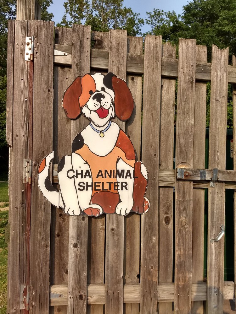 CHA ANIMAL SHELTER 21 Reviews 3765 Corporate Dr, Columbus, Ohio