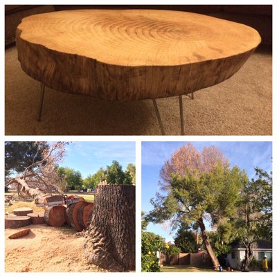 Tree Removal - Professional Tree Services by Certified arborists
Heartwood Tree Care provides tree care services to Mesa, AZ and surrounding areas. We are certified arborists.

A certified arborist is a tree care expert who has passed a test from the International Society of Arboriculture (ISA) to prove they know how to properly plant, maintain, and diagnose trees.