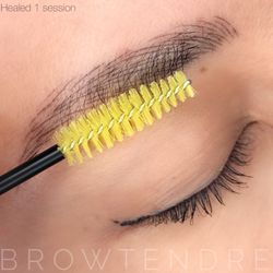 BrowTendre - Healed Microblading 1 session only. We intensified at touch up by adding my Signature Shading technique.