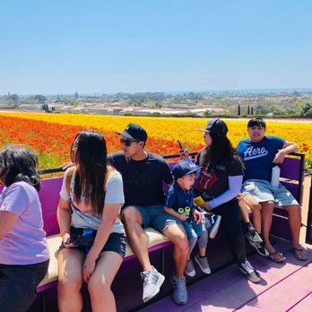 The Flower Fields - Venues & Event Spaces Near Me - Carlsbad, California The Flower Fields - Venues & Event Spaces Near Me - Carlsbad, California