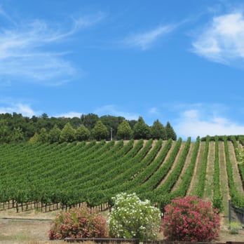 Chalk Hill Estate Vineyards - Wine Tasting Room Near Me - Healdsburg, California Chalk Hill Estate Vineyards - Wine Tasting Room Near Me - Healdsburg, California