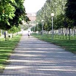 Parque de la Aldehuela