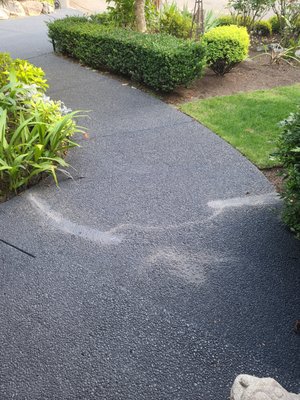 Roman Professional Landscaping