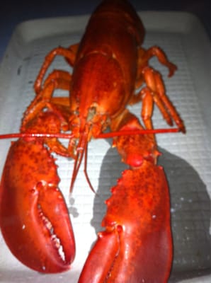 Essex Seafood by null