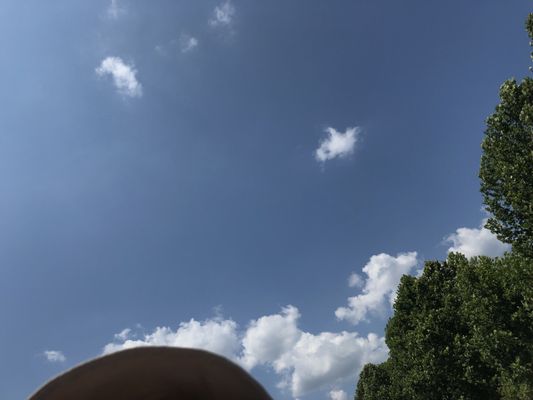 Downriver Canoe Company by null