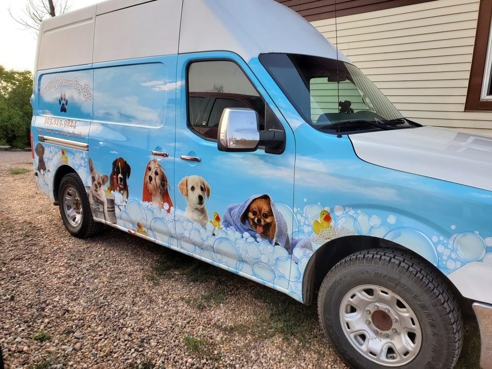 PAWSITIVELY HEAVEN DOG SPA Updated September 2024 10 Photos Brighton, Colorado Pet