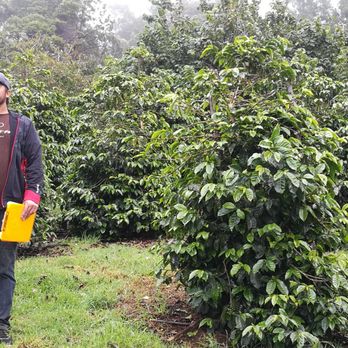 O'o Farms - Our guide - Food Tours Near Me - Kula, Hawaii