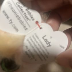 The new beanie baby information tag
