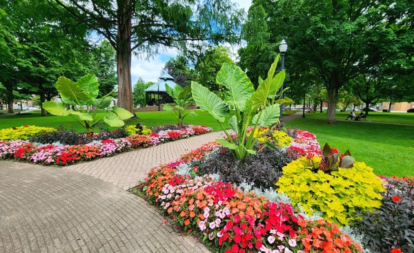 Centennial Park by null