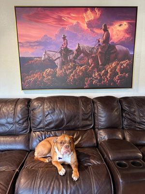 Work of Art Gallery & Framing