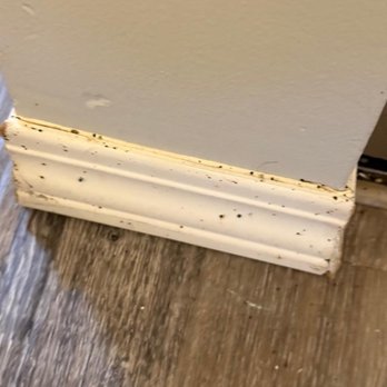 Green Pest Control - Pest Control Near Me - Saskatoon, Saskatchewan Green Pest Control - Pest Control Near Me - Saskatoon, Saskatchewan