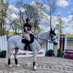 Green Valley Tack - Said Giraffe