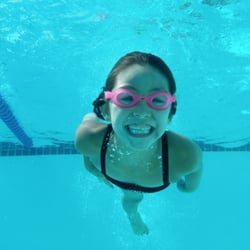 Blueray Aquatics