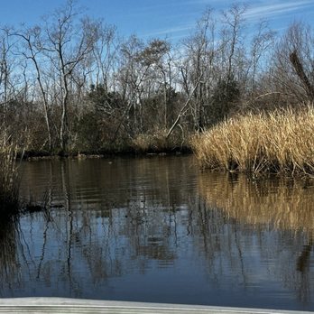Ragin Cajun Airboat Tours - Swamp - Boat Tours Near Me - Luling, Louisiana Ragin Cajun Airboat Tours - Swamp - Boat Tours Near Me - Luling, Louisiana