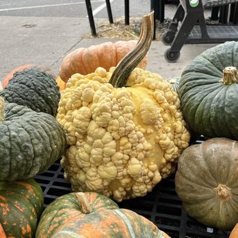 Calareso's Farm Stand - The craziest selection of all sizes and shapes - Fruits & Veggies Near Me - Reading, Massachusetts