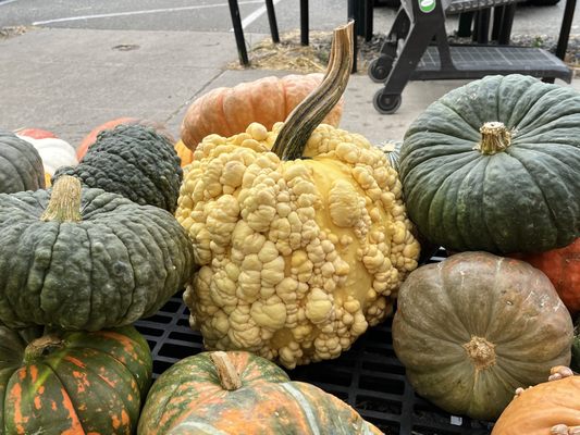 Calareso's Farm Stand & Garden Center by null