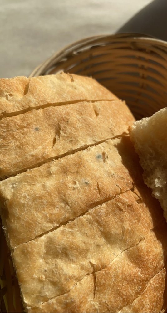 OLIVA ITALIAN MEDITERRANEAN CUISINE Updated November 2024 55 Photos