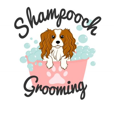 shampooch grooming
