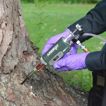Royce's Tree Service - Tree Services Near Me Royce's Tree Service - Tree Services Near Me
