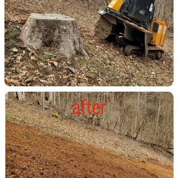 Jenkins Stump Removal - Tree Services Near Me - Lebanon, Tennessee Jenkins Stump Removal - Tree Services Near Me - Lebanon, Tennessee