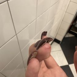 Bisou Nail Spa