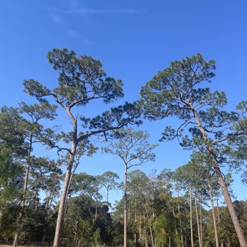 Tom Petty Park - Very peaceful here - Parks Near Me - Gainesville, Florida