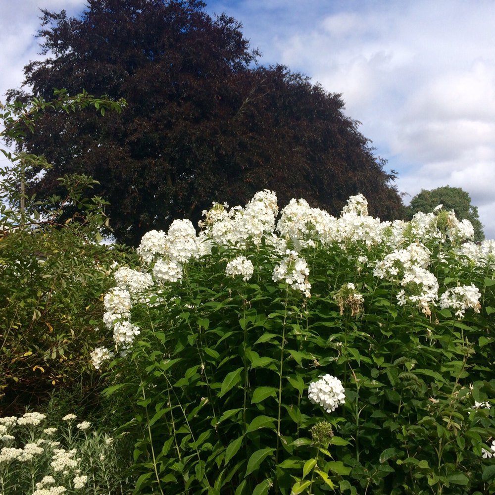 Winterbourne House and Garden - Botanical Gardens Near Me - Birmingham, XWM